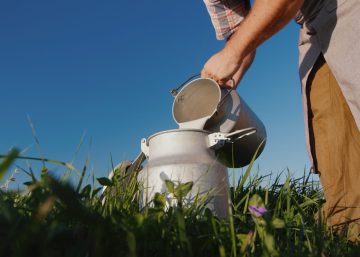 Uomo che raccoglie latte fresco appena munto